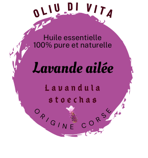 Huile essentielle de Lavande ailée