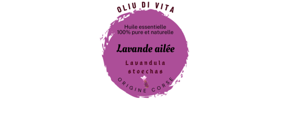 Huile essentielle de Lavande ailée